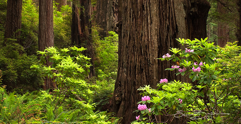 Slideshow Image 3