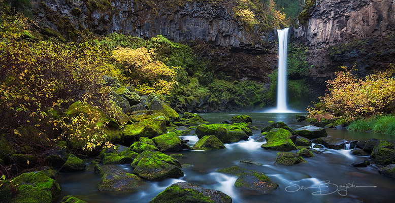 Slideshow Image 5