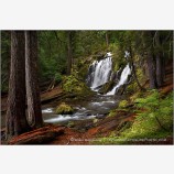 Arrival Print National Creek Falls, Rogue River, Oregon