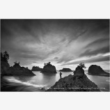 Life Is Waiting Stock Image,  Brookings, Oregon