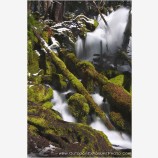 Clear Water Creek Falls Stock Image
