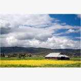 Barn in the Rogue Valley Stock Image Medford, Oregon