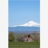 Mt. Jefferson overlooking Farm Stock Image Central Oregon