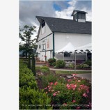 RoxyAnn Winery Stock Image Medford, Oregon