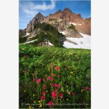 Three Fingered Jack 3 Stock Image Mt. Jefferson Wilderness, Oregon
