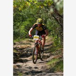 Racer 3233 Stock Image
