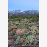 Minarets at Dawn Stock Image, Sierra Mountains, California