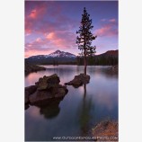 Pine Island Stock Image, Sparks Lake, Oregon