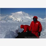 Warm Thoughts Stock Image Denali National Park, Alaska