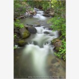 Ashland Creek Stock Image, Lithia Park, Ashland, Oregon