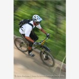 Mountain Biker Stock Image