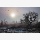 Emigrant Dawn Print, Ashland, Oregon