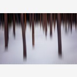Lost In A Winter Forest Print, Crater Lake, Oregon
