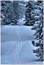 Trail Break Stock Image Cascade Range, Central Oregon