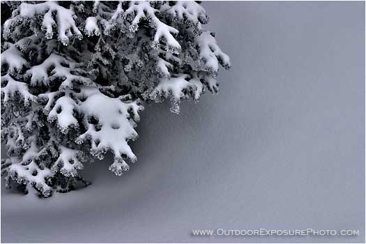 Rights Managed Stock Photo: Winter Texture