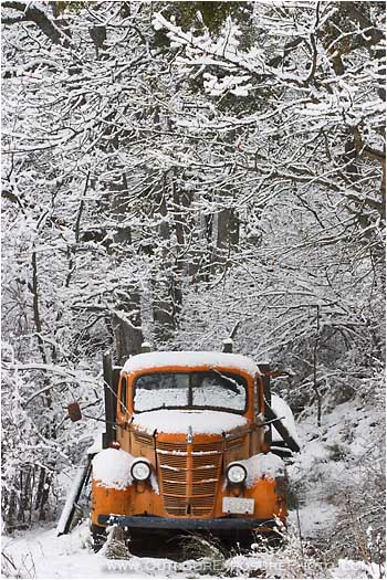 Rights Managed Stock Photo: International In Winter