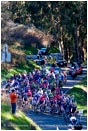 Royalty Free Stock Photo: Tour of California 1