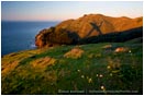 Royalty Free Stock Photo: Marin Headlands