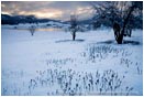 Winter Snow 2 Stock Image,