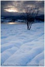 Winter Snow 4 Stock Image,