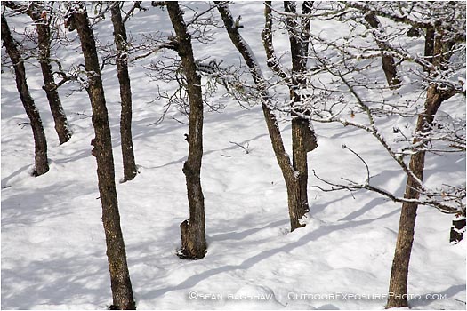 Royalty Free Stock Photo: Winter Snow 6