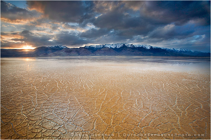 Print: Wet Dryland