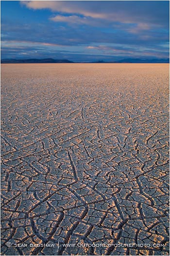 Print: Parched Earth