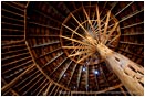 Print: Radiating Roof