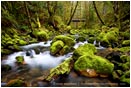 Rights Managed Stock Photo: The Bridge Over Williams Creek