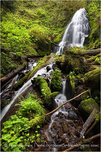 Rights Managed Stock Photo: Fairy Falls