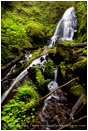 Rights Managed Stock Photo: Fairy Falls