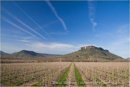 Royalty Free Stock Photo: Table Rock and Pear Orchard 1