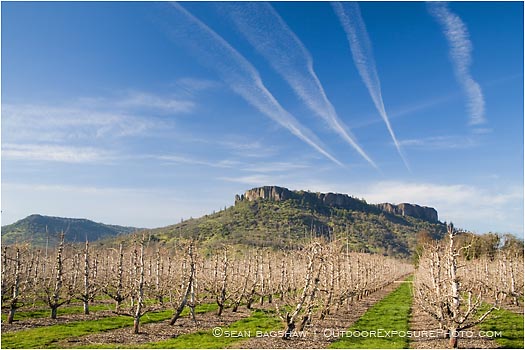 Royalty Free Stock Photo: Table Rock and Pear Orchard 2