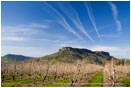 Royalty Free Stock Photo: Table Rock and Pear Orchard 2