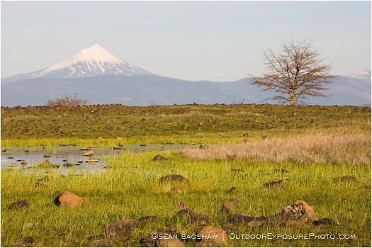 Royalty Free Stock Photo: Mt. McLoughlin From Upper Table Rock 1