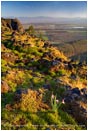Royalty Free Stock Photo: View From Upper Table Rock 1