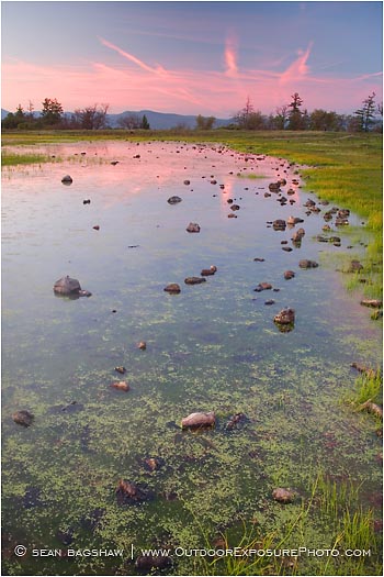 Royalty Free Stock Photo: Vernal Pool On Upper Table Rock