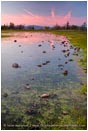Royalty Free Stock Photo: Vernal Pool On Upper Table Rock