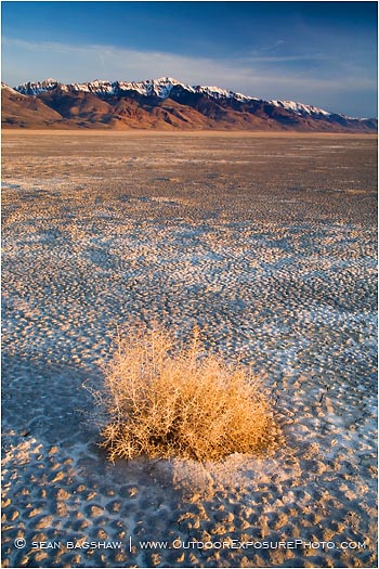 Royalty Free Stock Photo: Alvord Desert 4