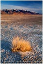 Royalty Free Stock Photo: Alvord Desert 4