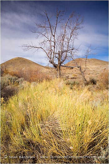 Royalty Free Stock Photo: Alvord Desert 5