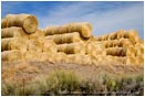 Royalty Free Stock Photo: Hay Rolls 1