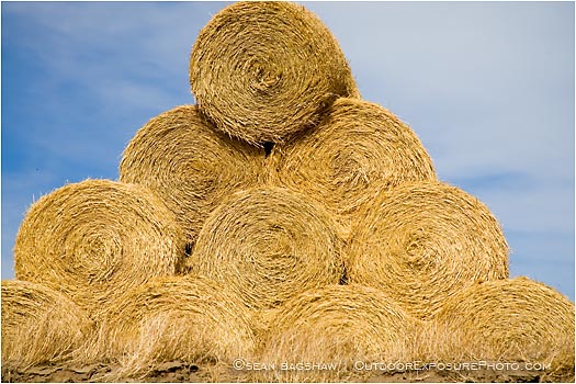 Royalty Free Stock Photo: Hay Rolls 2