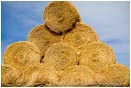 Hay Rolls 2 Stock Image,