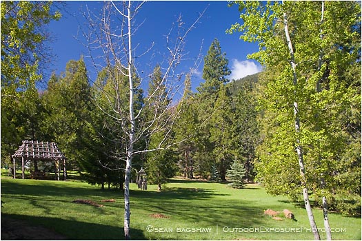 Royalty Free Stock Photo: Forest Park