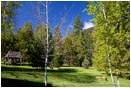 Royalty Free Stock Photo: Forest Park