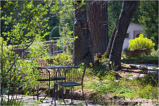 Royalty Free Stock Photo: Garden Patio 1