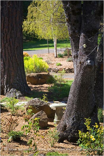 Royalty Free Stock Photo: Garden Patio 2