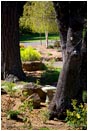 Royalty Free Stock Photo: Garden Patio 2