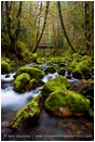 Royalty Free Stock Photo: Forest Stream 6